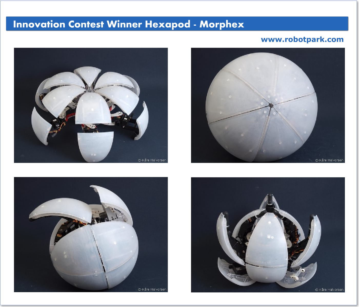 morphex hexapod robot