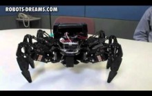 Hexapod Robot Ready To Conquer Extreme Obstacles