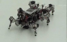 Robot roach extracts order from chaos