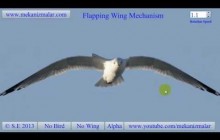 Wing Flapping Mechanism