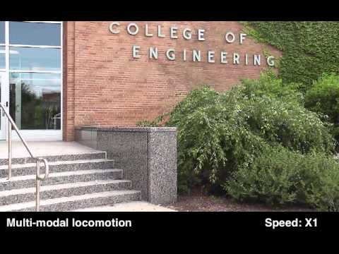 Tiny Jumping Robot – 2 Legs 1 Tail 11117