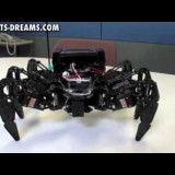Hexapod Robot Ready To Conquer Extreme Obstacles