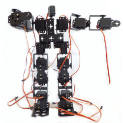19 Axis Humanoid Robot