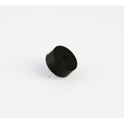 Buzzer - 22mm