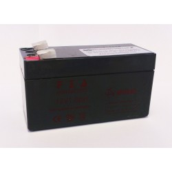 12V 1.3Ah Dry-Charged Battery